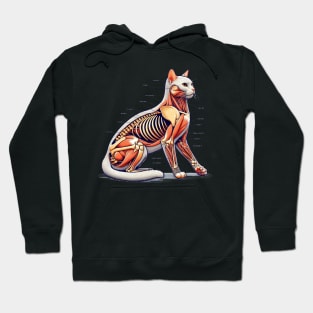 cat anatomy Hoodie